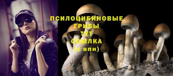 марки nbome Белокуриха