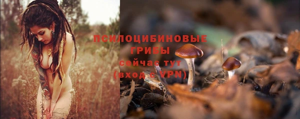 apvp Белоозёрский
