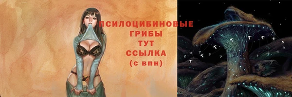 гидра Беломорск