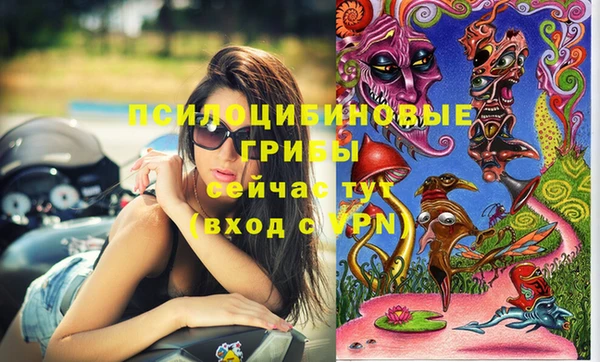 марки nbome Белокуриха