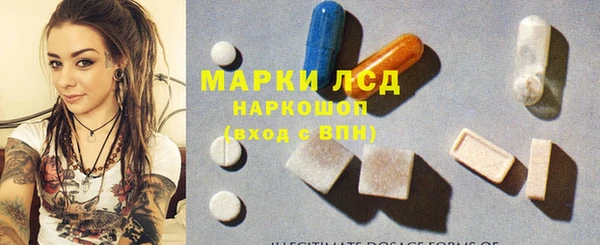 дмт Тавда