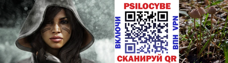 Псилоцибиновые грибы мицелий  Яровое 